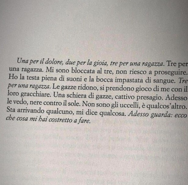 54255638_432424513967768_1079004833974845440_n