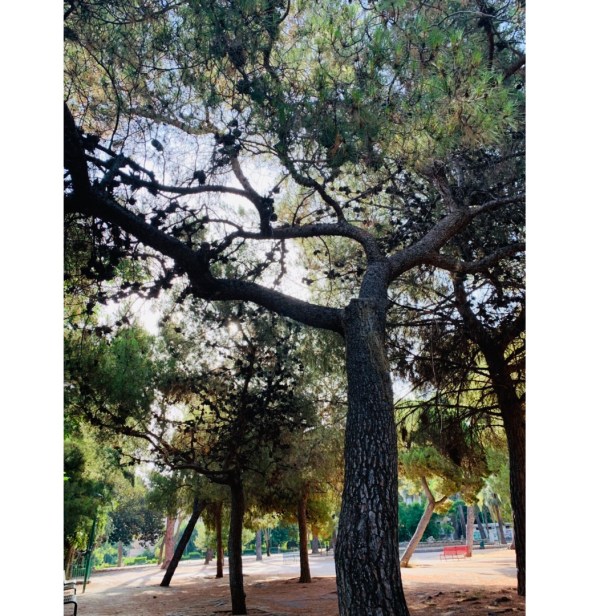 La mia migliore amica